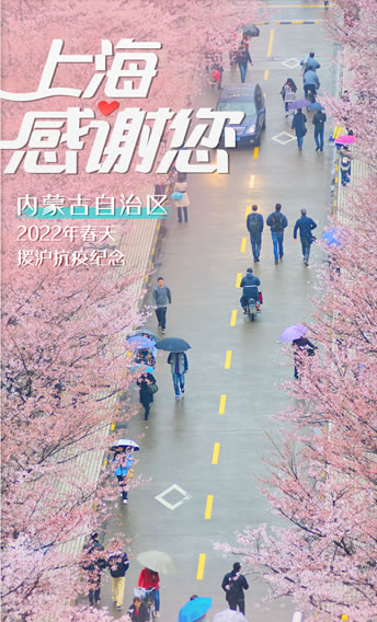 上海19mm柱状干冰-厂家直销-中国干冰一级供应商